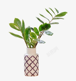 陶瓷花纹花瓶插着绿叶素材