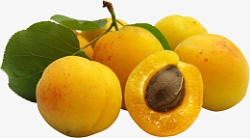 水果杏子实物图片素材