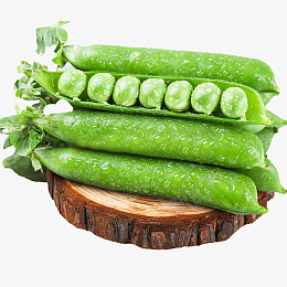 新鲜的甜豆雪豆png免抠素材_88icon https://88icon.com 雪豆 甜豆 雪豆节 豌豆