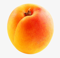 水果杏杏子水果图片素材