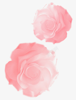 粉色玫瑰花两朵素材