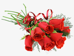 红色告白玫瑰花束素材