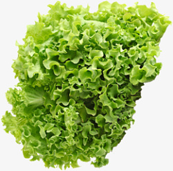 菜蔬菜生菜绿色菜素材