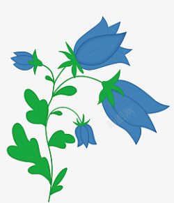 蓝色风铃花植物图片素材