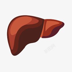 手绘人体器官肝脏矢量免抠素材素材
