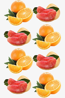 矢量图红色柚子素材
