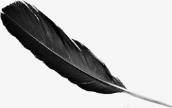 羽毛飘落黑色高清素材