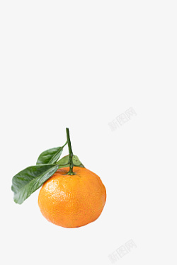 一个完成的新鲜橘子素材