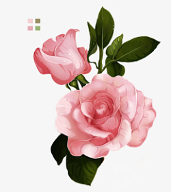 手绘粉色清新商业插画花朵两朵素材