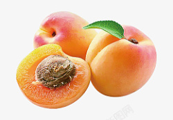 新鲜大黄杏杏子素材
