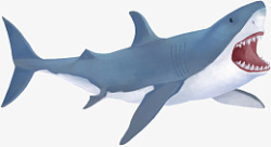 写实卡通深海生物噬人鲨素材