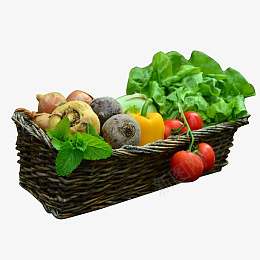 一篮子美味蔬菜png免抠素材_88icon https://88icon.com 一篮子 美味 蔬 菜