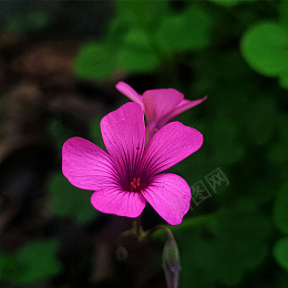 绿色小清新春天郊游踏青背景图psd免抠素材_88icon https://88icon.com 绿色 小清新 春天郊游踏青 路边野花