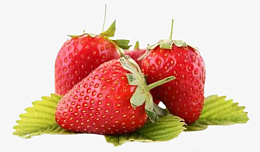 三颗草莓素材png免抠素材_88icon https://88icon.com 三 草 莓 红