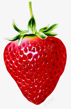 鲜红草莓水果素材
