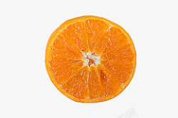 橘子水果植物素材