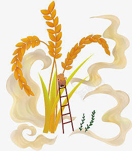 原创芒种稻谷插画png免抠素材_88icon https://88icon.com 原创 芒种 稻谷 插画