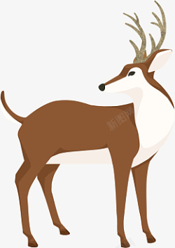 狍子鹿圣诞节麋鹿傻狍子22高清图片