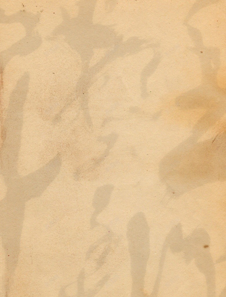 复古牛皮纸书法中国风jpg设计背景_88icon https://88icon.com 复古 牛皮纸 书法 中国 国风