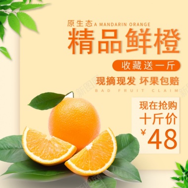 黄色水果蜜橘收藏有礼抢购橙子800800背景