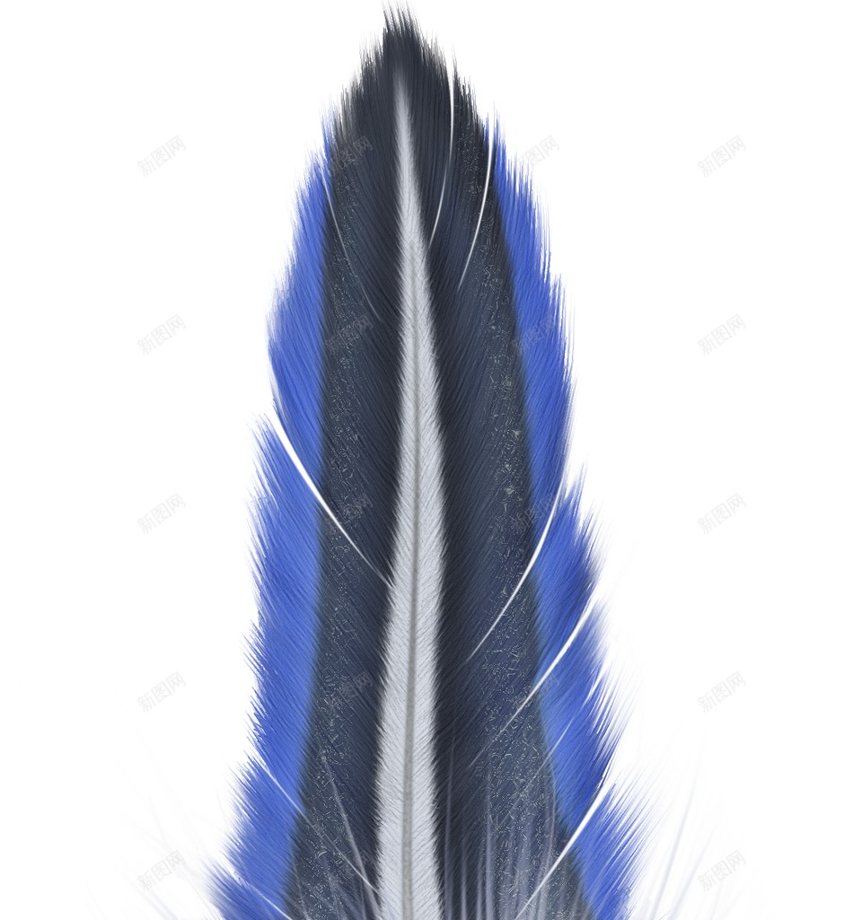 羽毛翎毛png免抠素材_88icon https://88icon.com 羽毛 翎毛