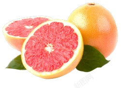 葡萄柚柚子素材