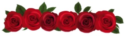 手绘玫瑰花花朵花束鲜花水彩绘画素材