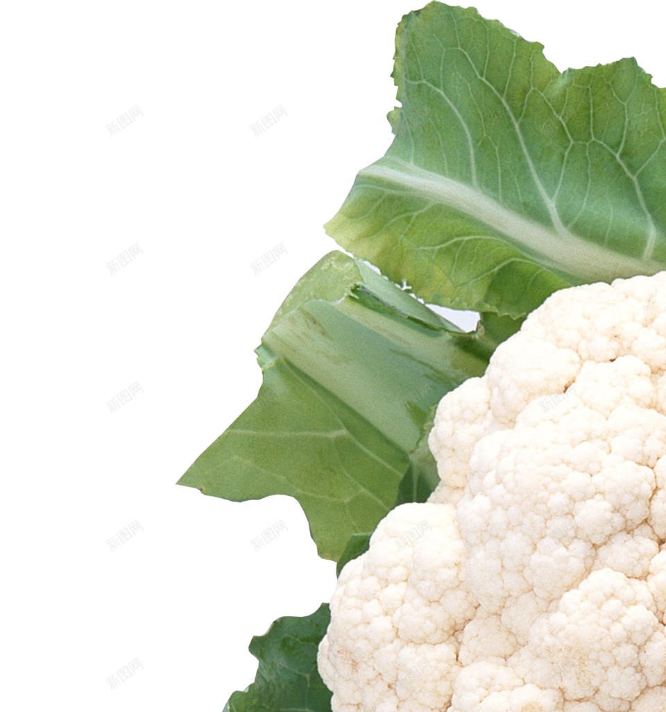 新鲜的蔬菜白花菜图片png免抠素材_88icon https://88icon.com   白花菜 十字花科蔬菜 新鲜的 菜花 食物