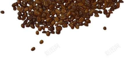 咖啡豆coffeebean的复数png免抠素材_88icon https://88icon.com coffeebean的复数 咖啡豆