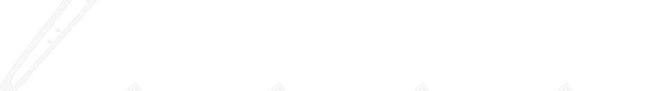 羽毛翎毛png免抠素材_88icon https://88icon.com 羽毛 翎毛