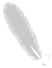 羽毛翎毛png免抠素材_88icon https://88icon.com 羽毛 翎毛