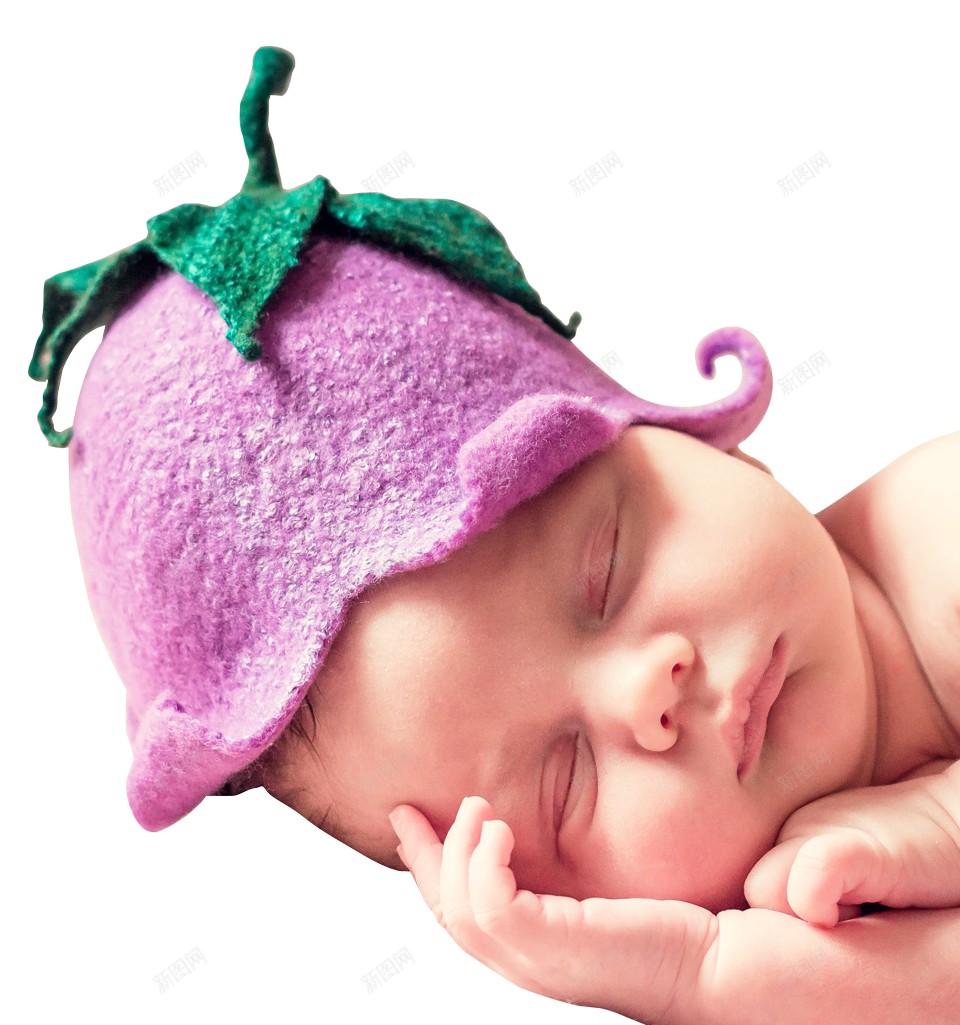 婴儿动物幼崽png免抠素材_88icon https://88icon.com 动物幼崽 婴儿