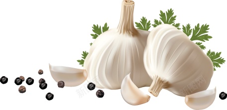 蒜大蒜png免抠素材_88icon https://88icon.com 大蒜 蒜