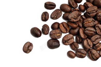 咖啡豆coffeebean的复数png免抠素材_88icon https://88icon.com coffeebean的复数 咖啡豆