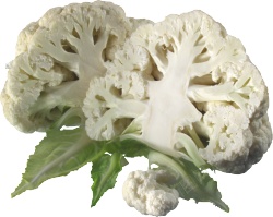 新鲜的蔬菜白花菜图片素材