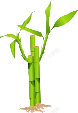 竹竹子素材