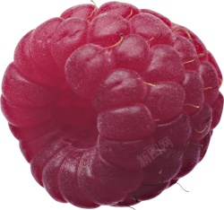 覆盆子山莓素材