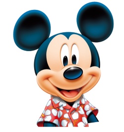 质量不高的太容易的素材