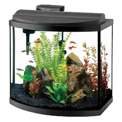 养鱼缸养鱼缸水族玻璃槽高清图片