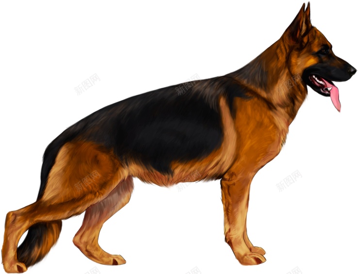 德国牧羊犬狼犬png免抠素材_88icon https://88icon.com 德国牧羊犬 狼犬