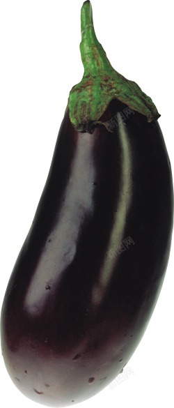 茄子素材