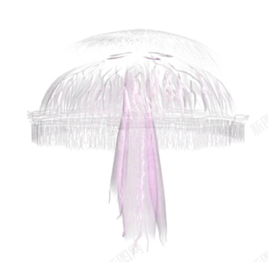 水母海蜇png免抠素材_88icon https://88icon.com 水母 海蜇