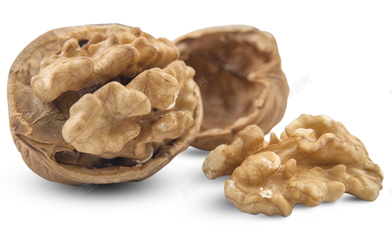 核桃胡桃png免抠素材_88icon https://88icon.com 核桃 胡桃
