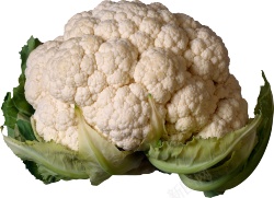 白花菜新鲜的蔬菜白花菜图片高清图片