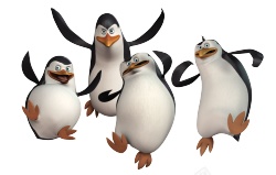 企鹅penguin的复数素材
