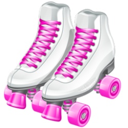 溜冰鞋素材