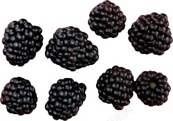 黑莓素材