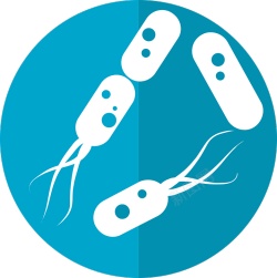 细菌bacterium的复数素材