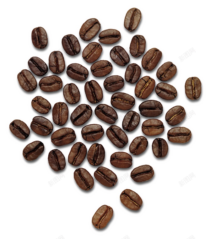 咖啡豆coffeebean的复数png免抠素材_88icon https://88icon.com coffeebean的复数 咖啡豆