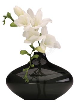 一瓶白色鲜花装饰图素材